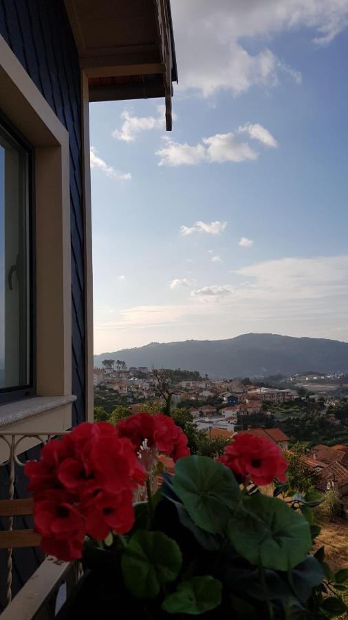 Casa Da Zefinha, Em Cinfaes, No Douro Apartment Exterior foto